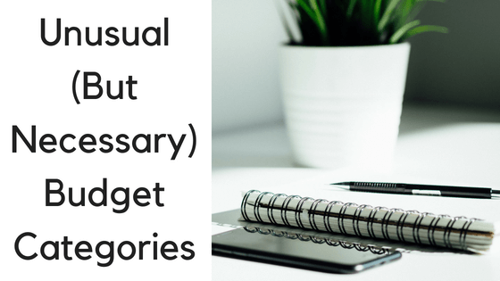 Unusual (But Necessary) Budget Categories